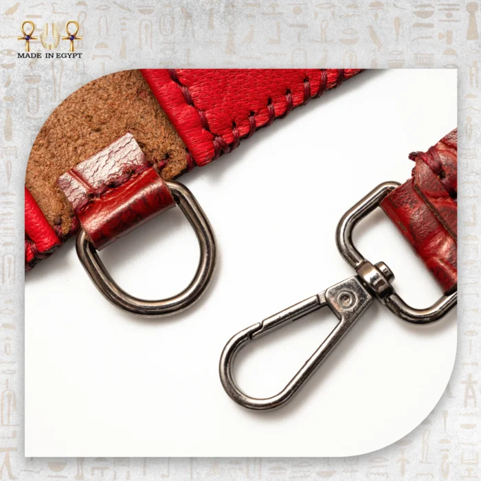 ⁦برتفـية نفرتيتي⁩ - الصورة ⁦3⁩