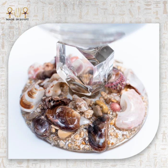 ⁦كأس روح البحر⁩ - الصورة ⁦2⁩