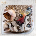 ⁦Treasure of the Deep Kingdom⁩ - الصورة ⁦2⁩