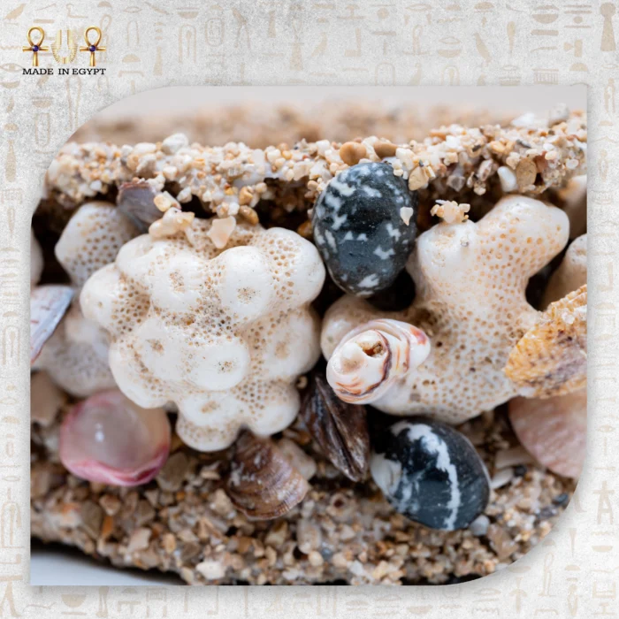 ⁦تحفة رمل وصدف⁩ - الصورة ⁦2⁩