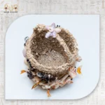 وعاء كنز الأعماق