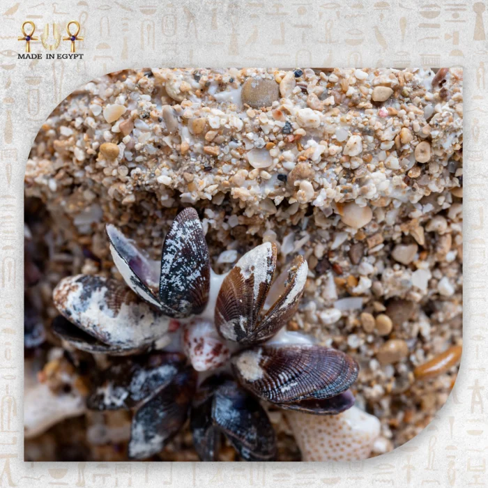 Deep Sea Treasure Bowl - Image 3