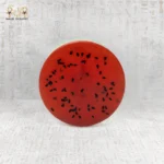 Watermelon Olive Oil Soap - Image 5