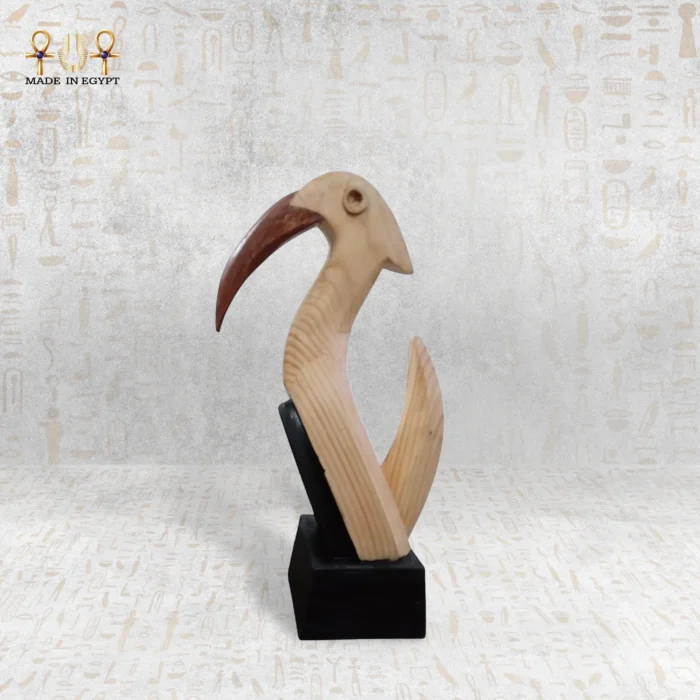 ⁦نورس بقاعدة سوداء⁩ - الصورة ⁦1⁩