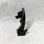 الحارس الأسود