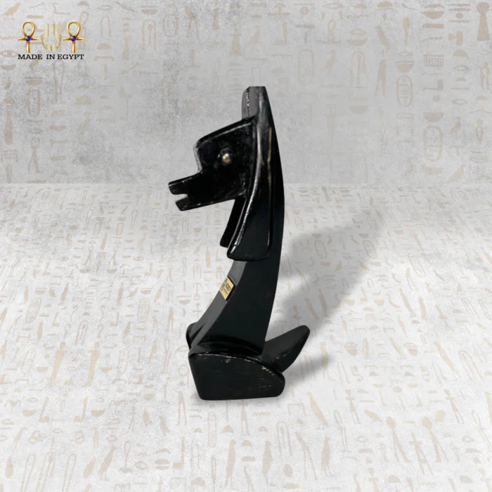 ⁦الحارس الأسود⁩ - الصورة ⁦1⁩