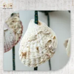 Handmade Seashell Hanging Décor - Image 4