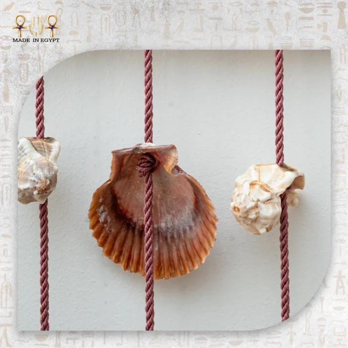 Seashell Hanging Decor with Wooden Branch - Image 2
