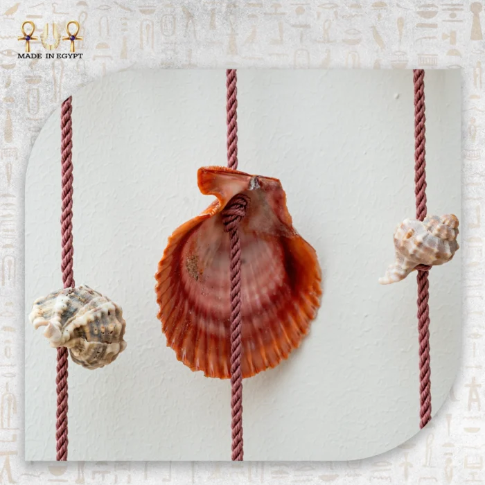 Seashell Hanging Decor with Wooden Branch - Image 3