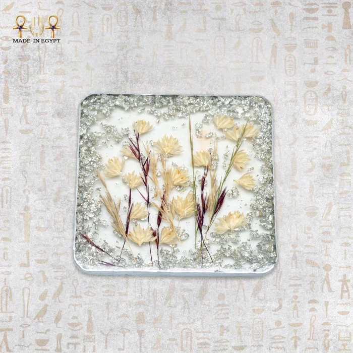 ⁦كوستر ريزن مزهر فضي أنيق⁩ - الصورة ⁦1⁩