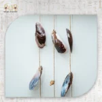 Mussel Shell Hanging Decor with Wooden Branch - Image 4