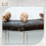 Mussel Shell Hanging Decor with Wooden Branch - Image 5