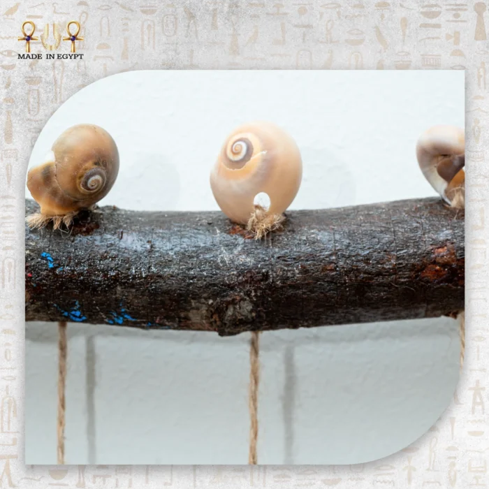 Mussel Shell Hanging Decor with Wooden Branch - Image 5