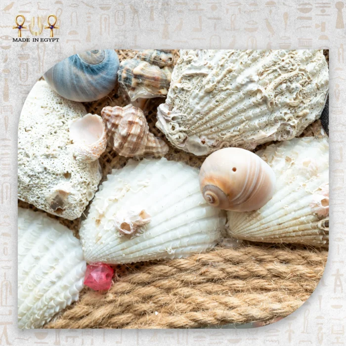 Seashell Mirror with Rope & Burlap Frame - Image 3