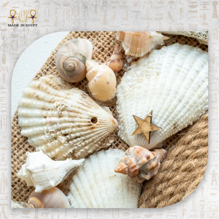 Seashell Mirror with Rope & Burlap Frame - Image 5
