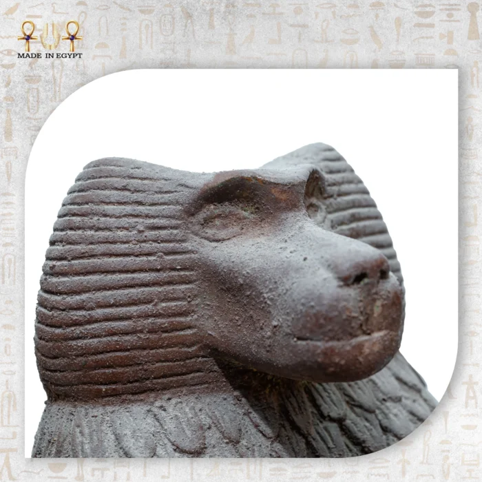 The Royal Monkey - Image 5