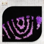 ⁦ساسكي أويشيها – رينغان ومانجيكيو الأبدي⁩ - الصورة ⁦2⁩