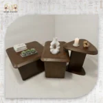 Modern Organic Shape Coffee Table Set