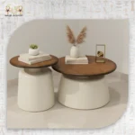 Modern Double Coffee Table Set